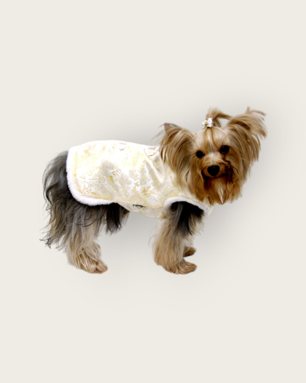 White Fur Edge New Year's shirt-Gold S485Y