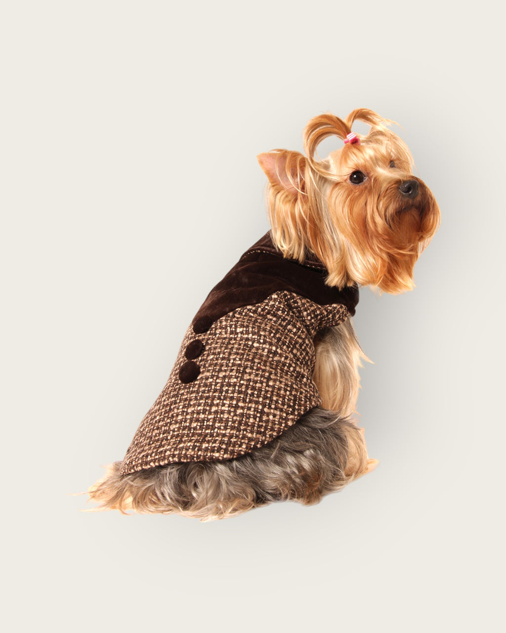 Brown Velvet Tweed - S487BN