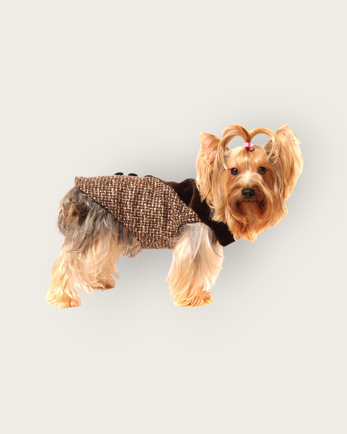 Brown Velvet Tweed - S487BN