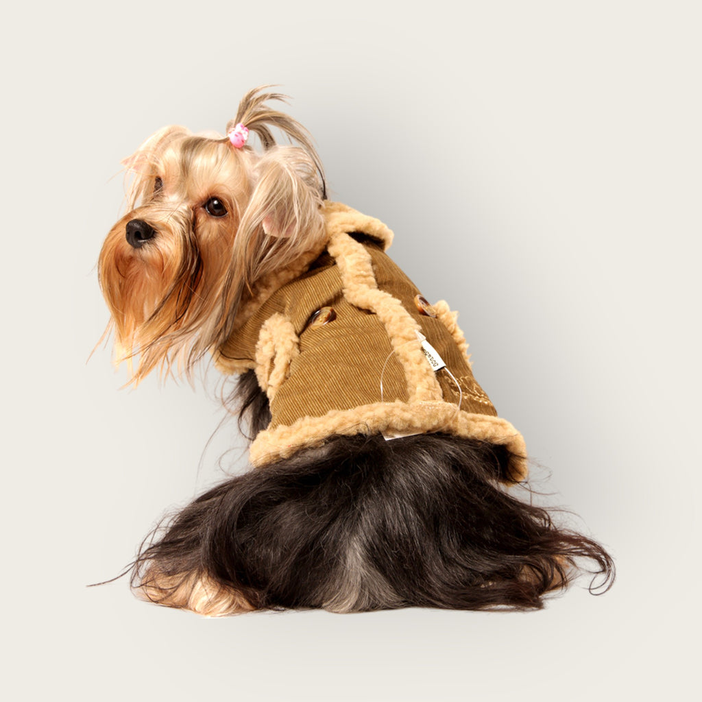 Corduroy Jacket S508BN