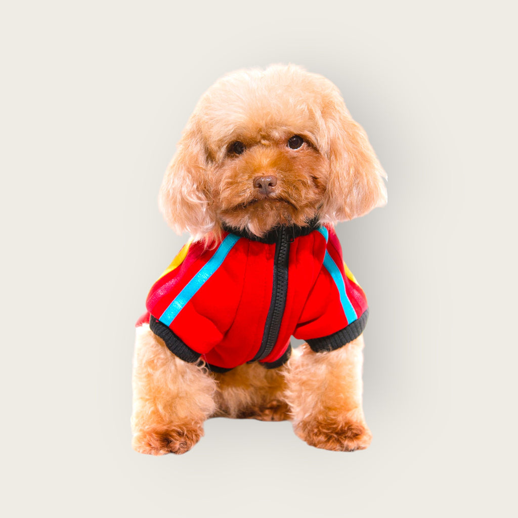 Colour Striped Sports Coat - Red S516RD