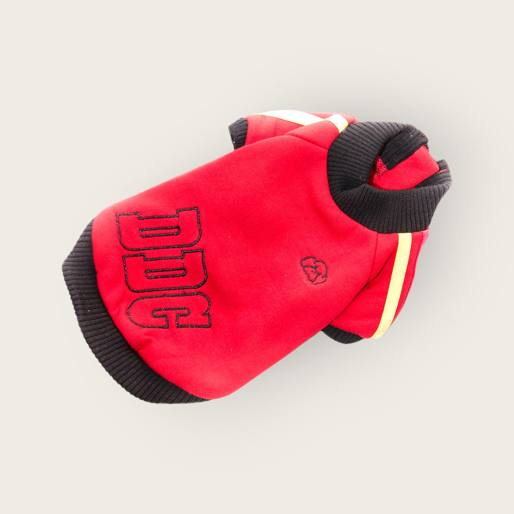 Colour Striped Sports Coat - Red S516RD