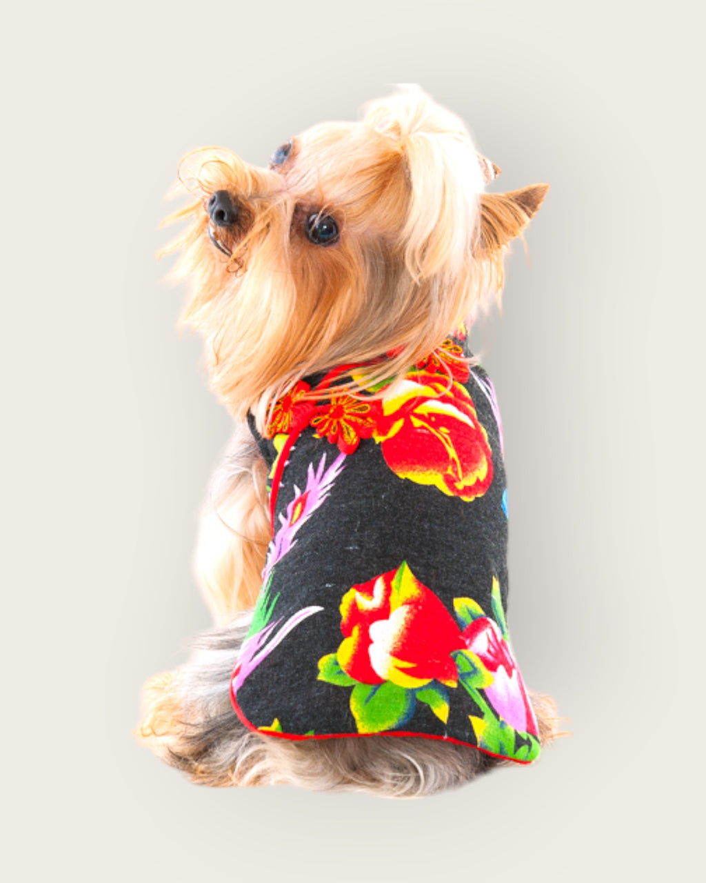 Jessica Dress Chinese Style Dog Dress Black S523BK