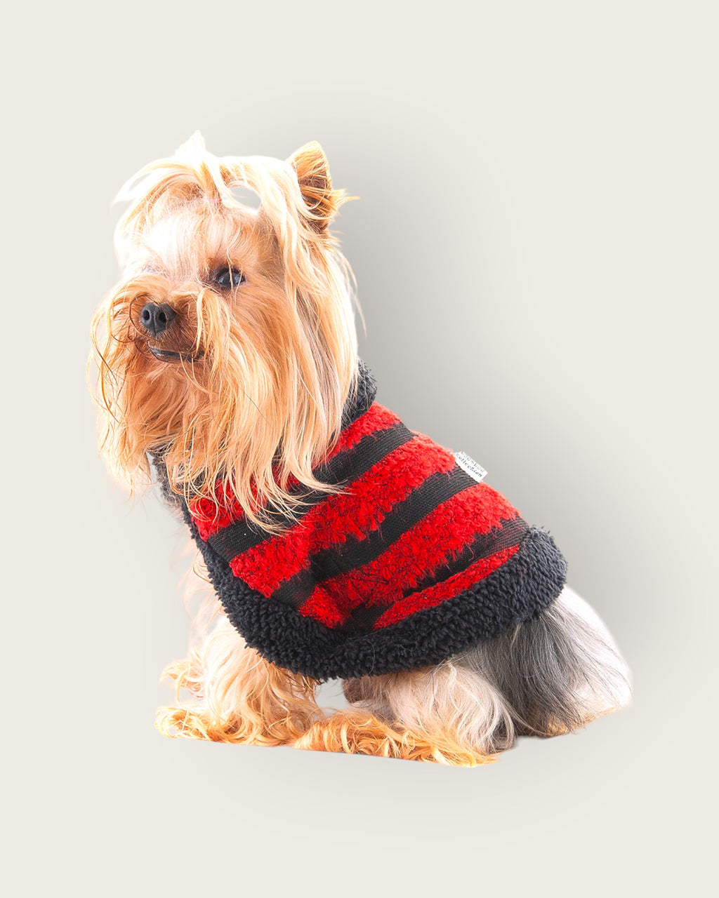 Red and Black Striped Shawl S534R
