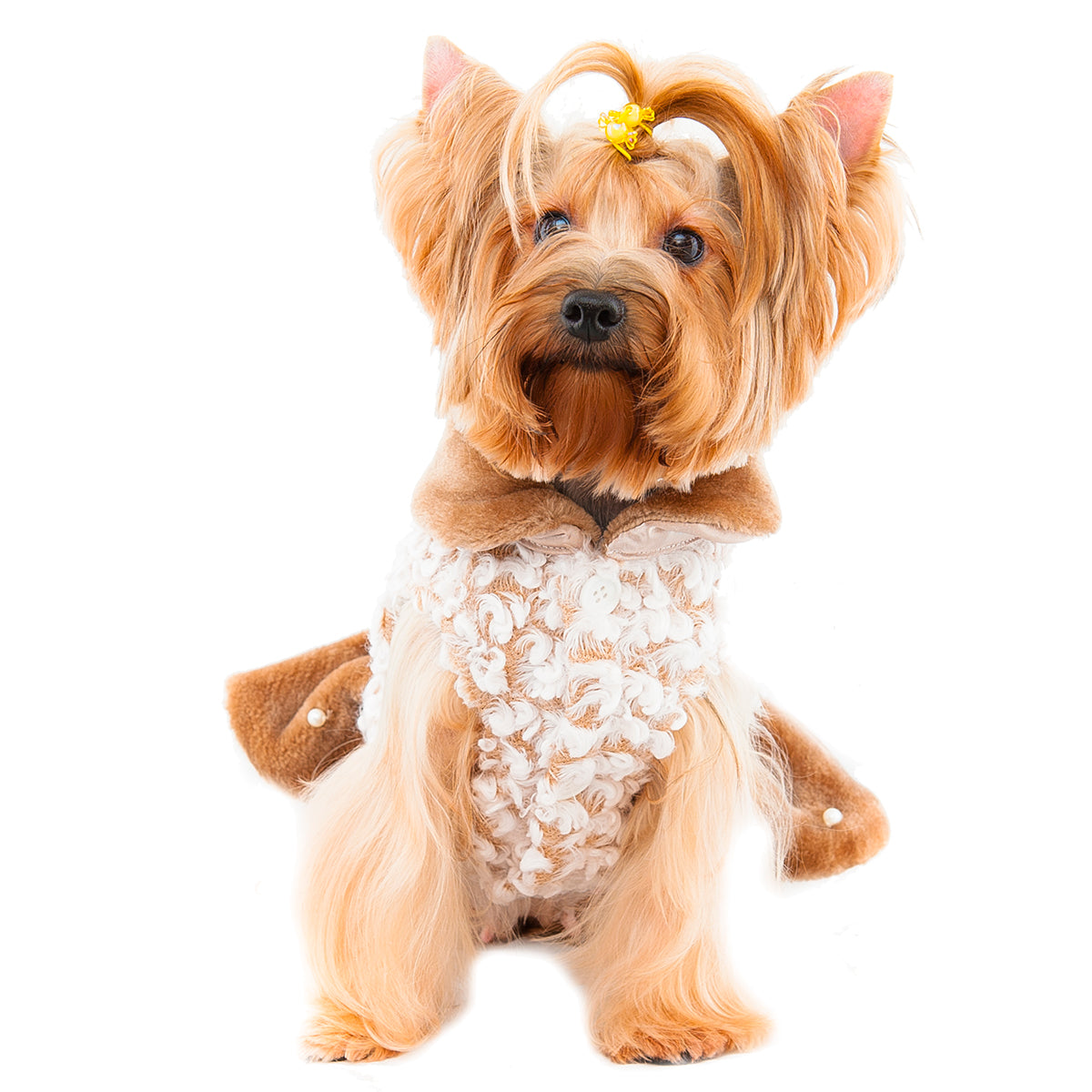 Pet Patti Elegant Dress S560BN
