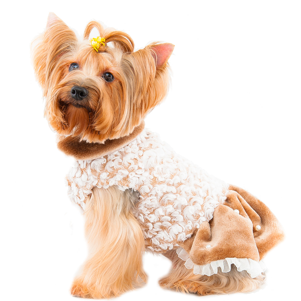 Pet Patti Elegant Dress S560BN