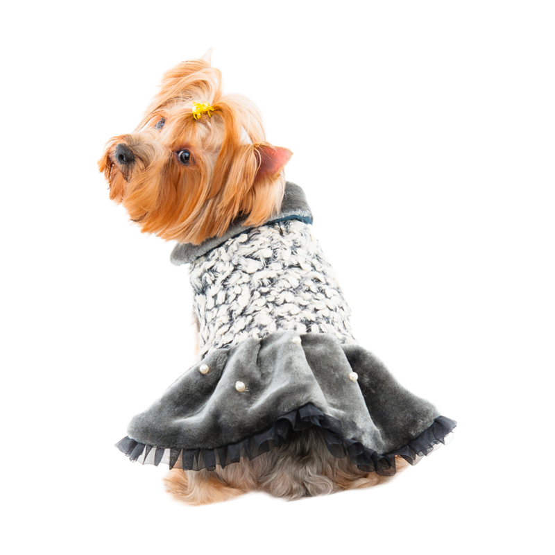 Pet Patti Elegant Dress S560GY