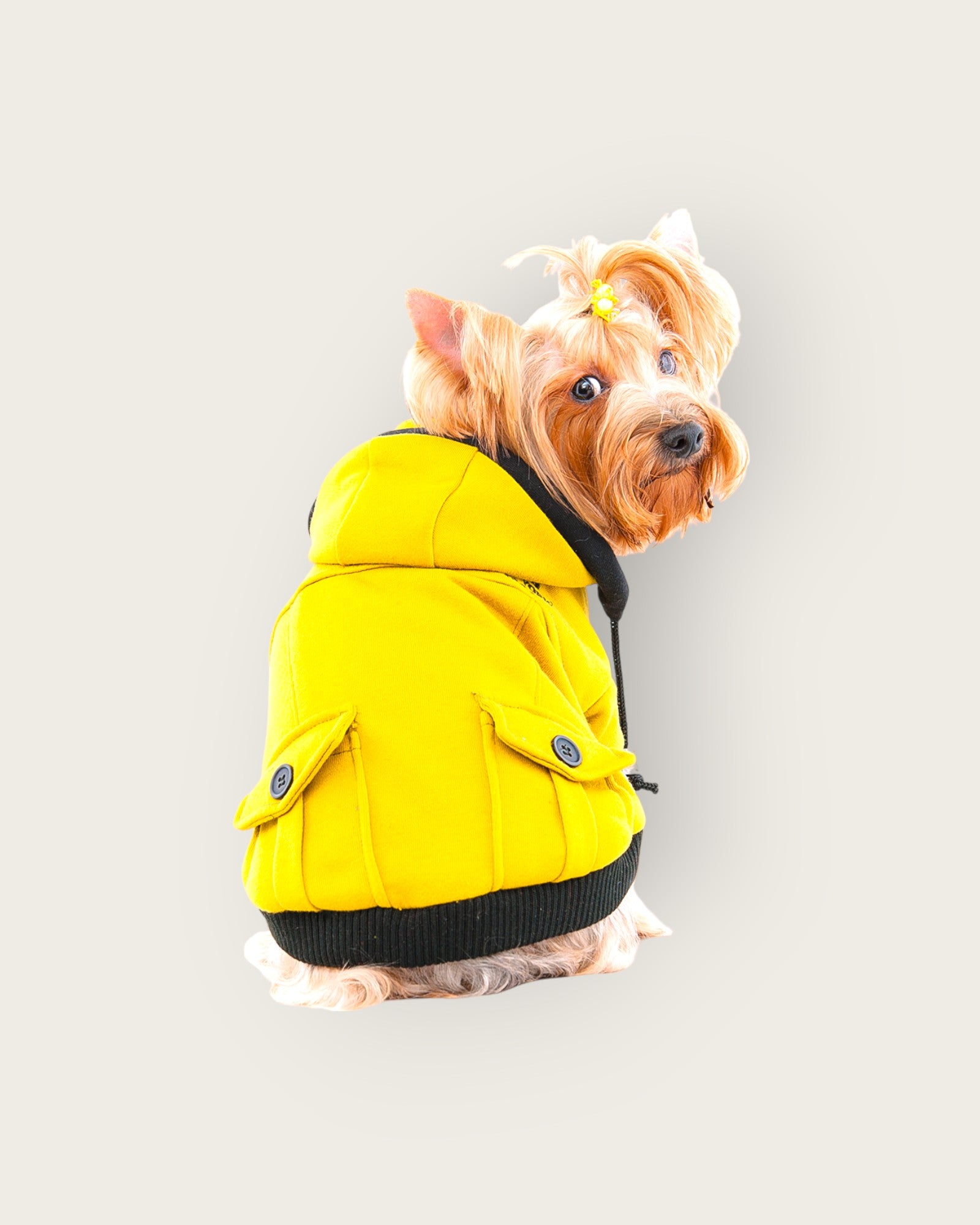 Dana Jacket - Green Yellow S561GN