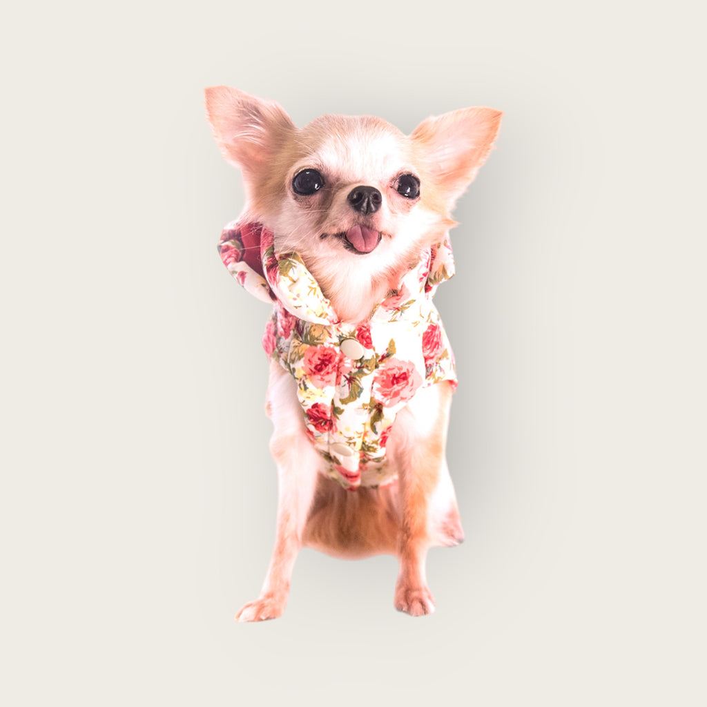 Hooded Floral Print Padded Vest - Light Yellow S566YW