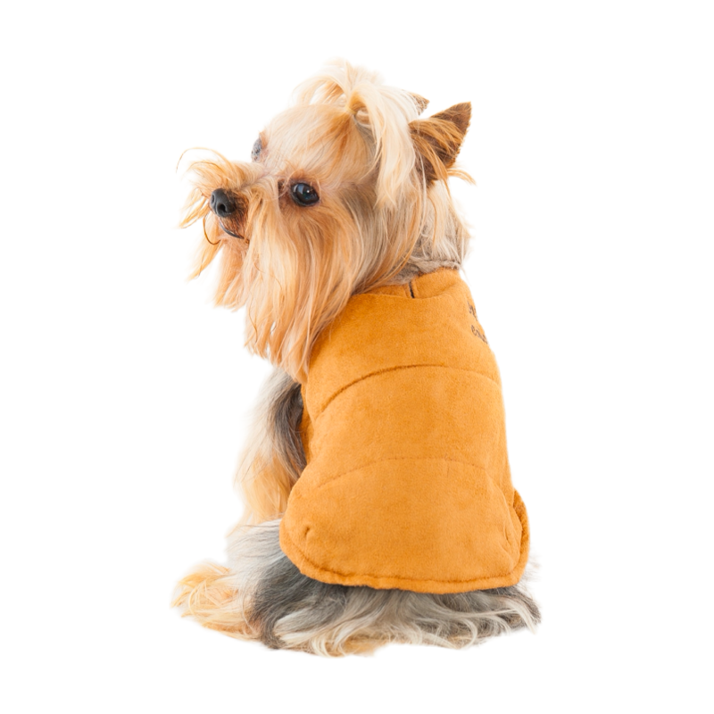 Furry collared shirt