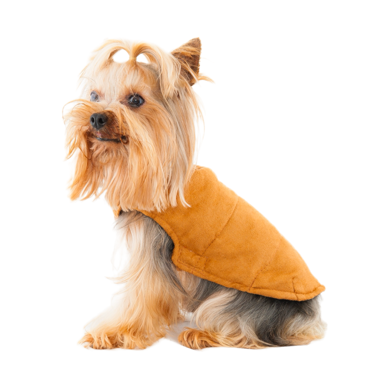 Furry collared shirt