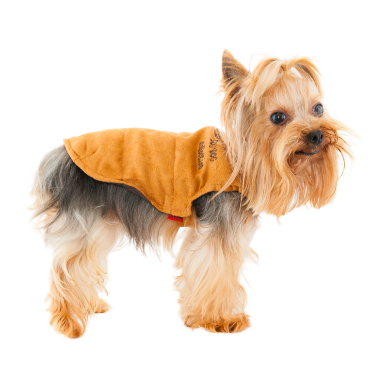 Furry collared shirt