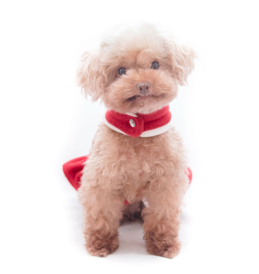 Pet Christmas Dress S576