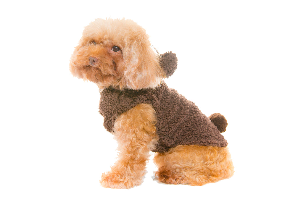 Bear Hoodie - Dark Brown