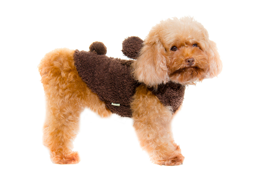 Bear Hoodie - Dark Brown
