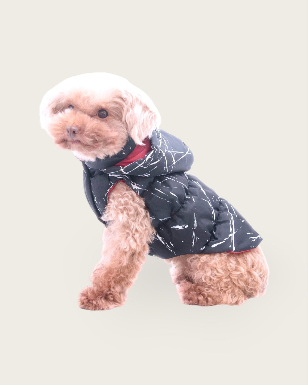 Black Padded Parka S597BK