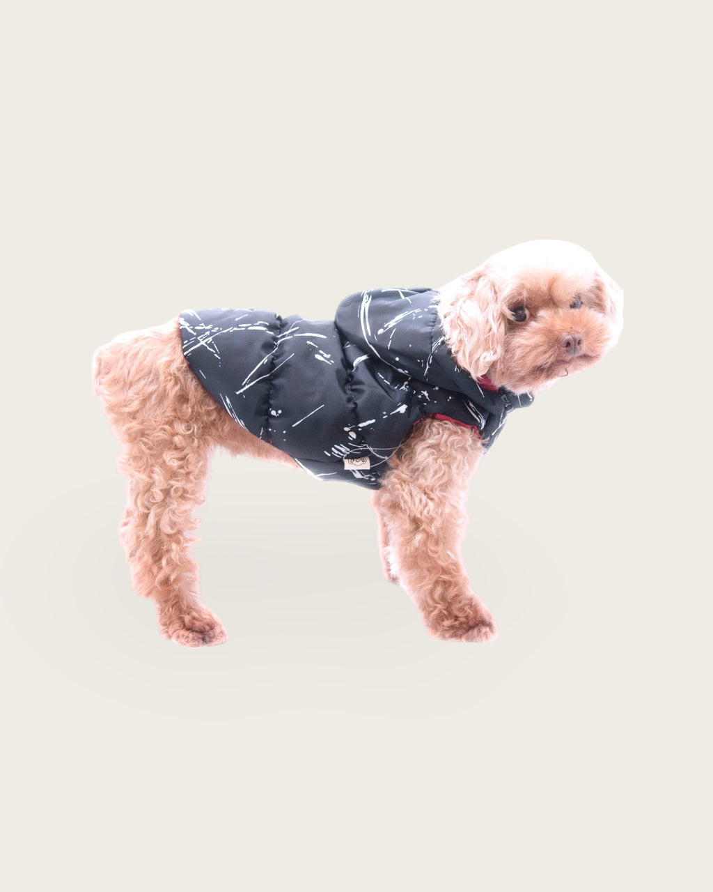 Black Padded Parka S597BK