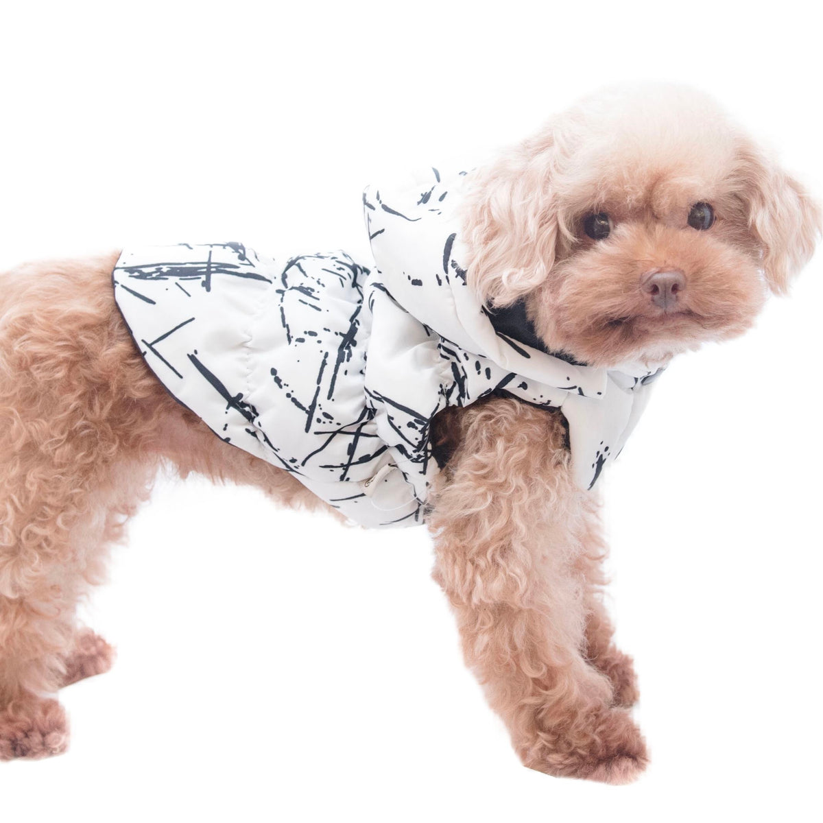 White Padded Parka S597WH