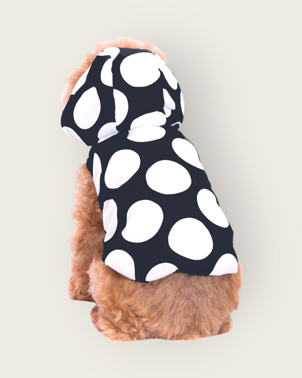 Polka Dot Puffer Jacket - Black S605BK
