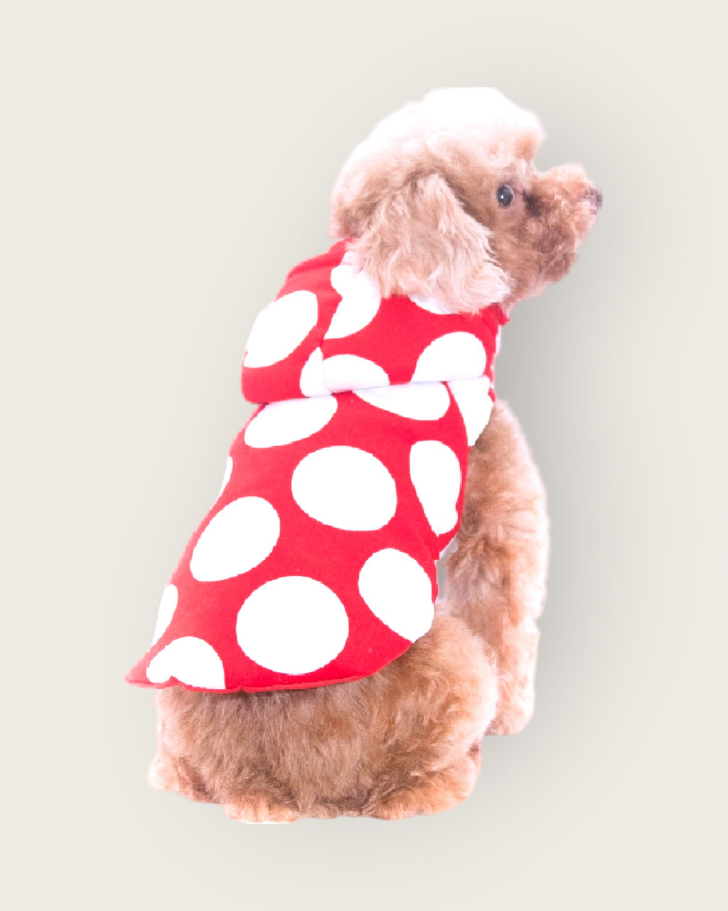 Polka Dot Puffer Jacket - Red S605RD