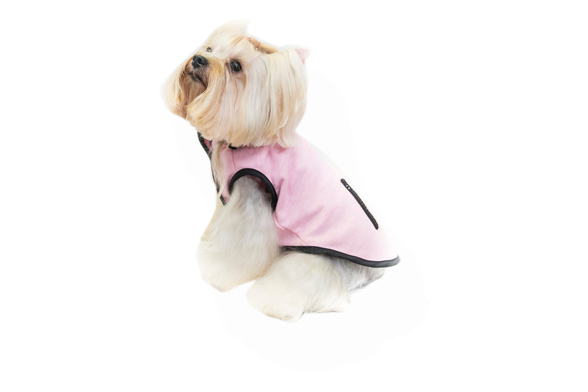 black edge DDC hooded sweatshirt - Pink S614PK