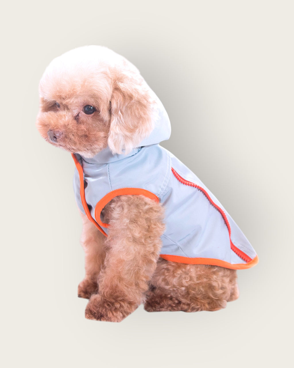 Gale Detachable Hooded Vest - S616GY