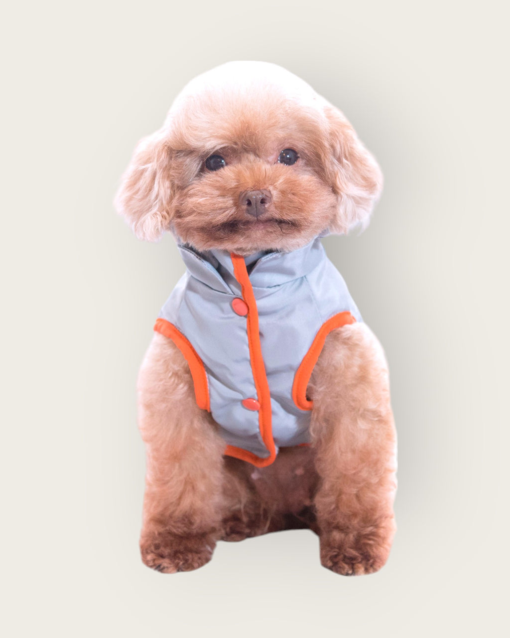 Gale Detachable Hooded Vest - S616GY