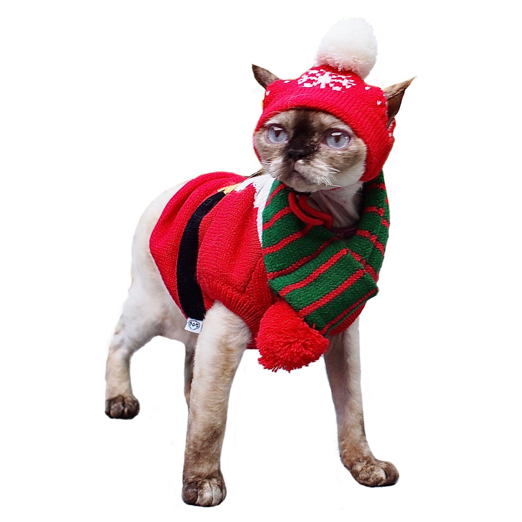 Pet Santa Claus Sweater S637R