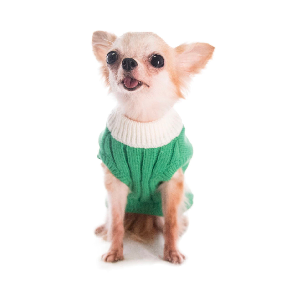 Pet Christmas Gift Sweater S638GN
