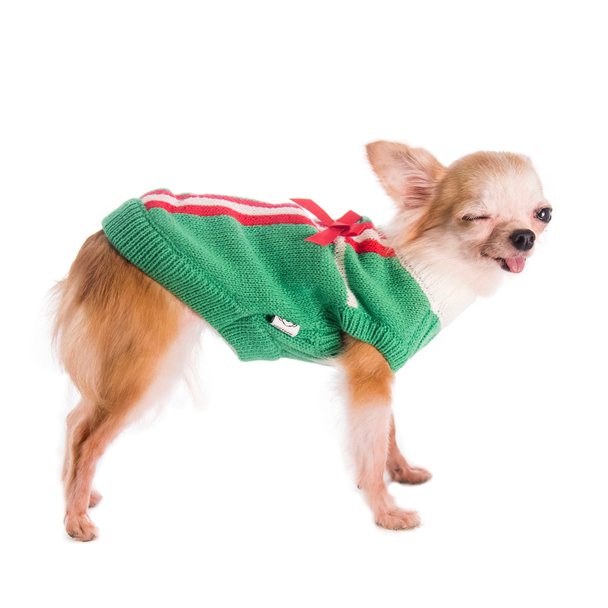 Pet Christmas Gift Sweater S638GN