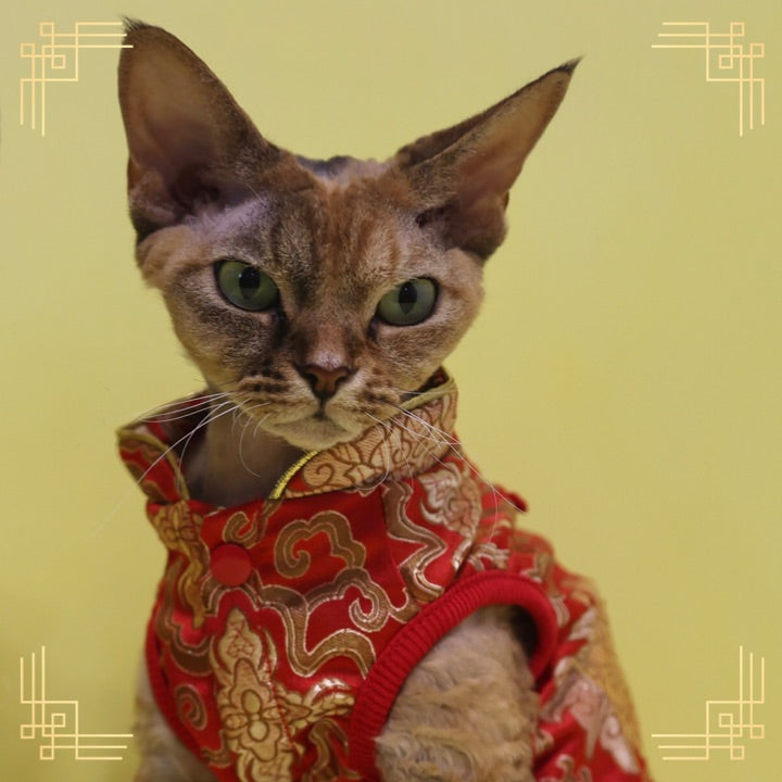 寵物金邊織錦賀年衫-紅色 S640RD