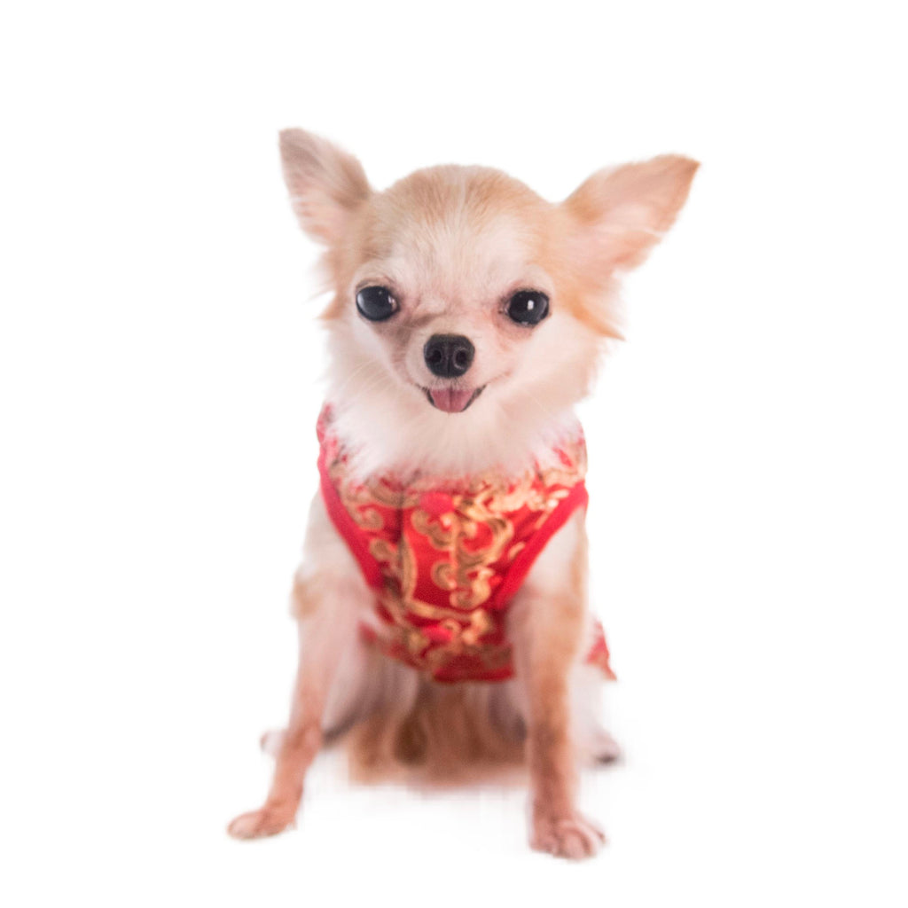 寵物金邊織錦賀年衫-紅色 S640RD