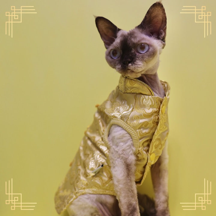 寵物金邊織錦賀年衫-金色 S641GD