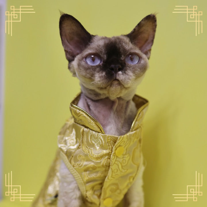 寵物金邊織錦賀年衫-金色 S641GD