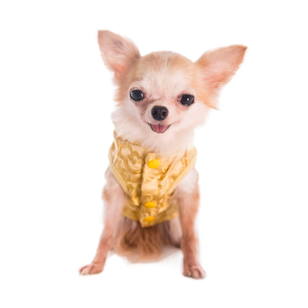 寵物金邊織錦賀年衫-金色 S641GD