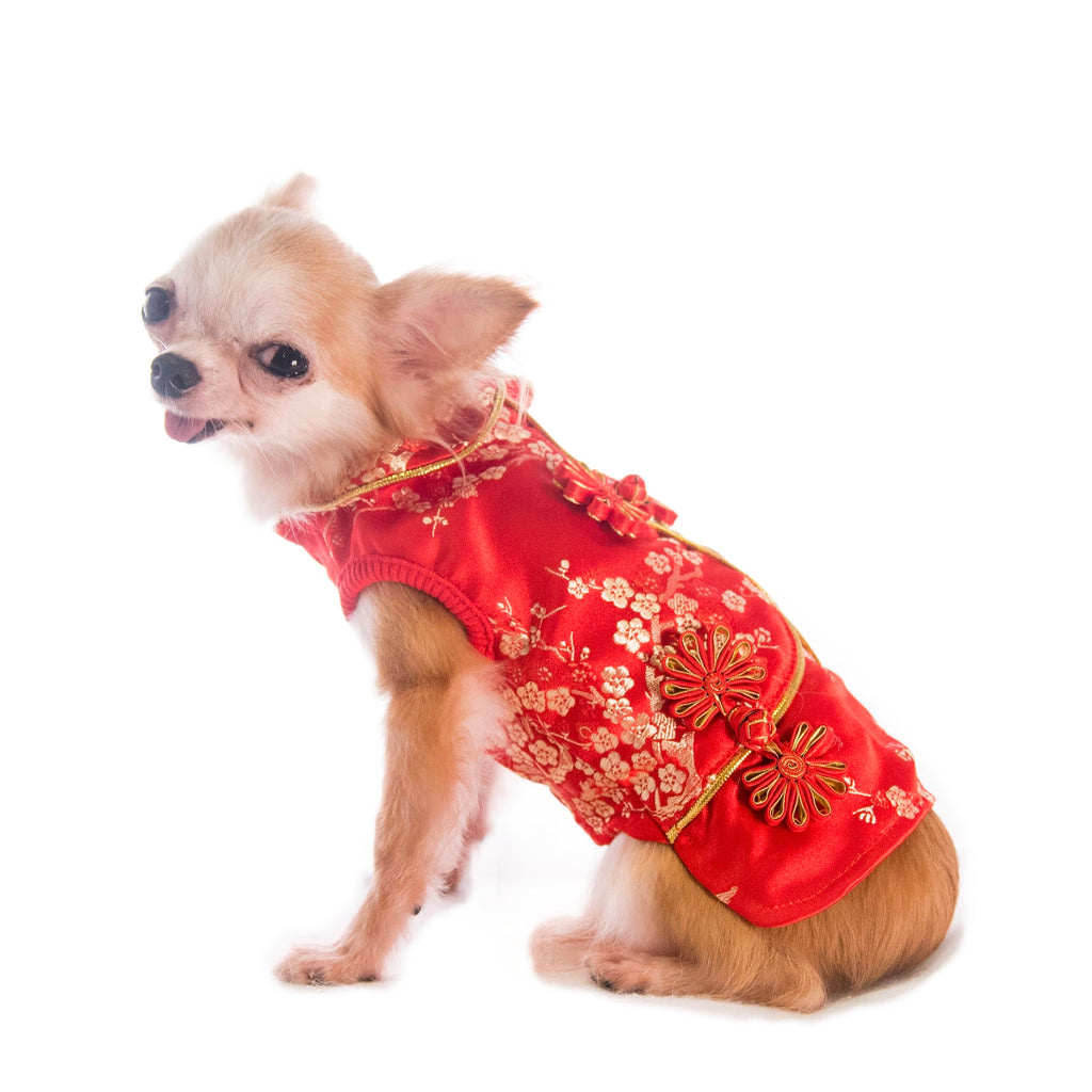 Pet Brocade Dress Red S642RD