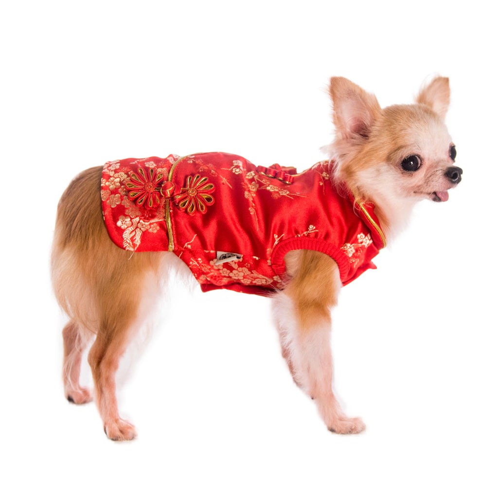 Pet Brocade Dress Red S642RD