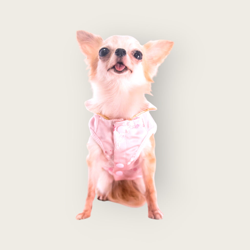 Almon Chinese Style Dog Dress - Pink S643PK