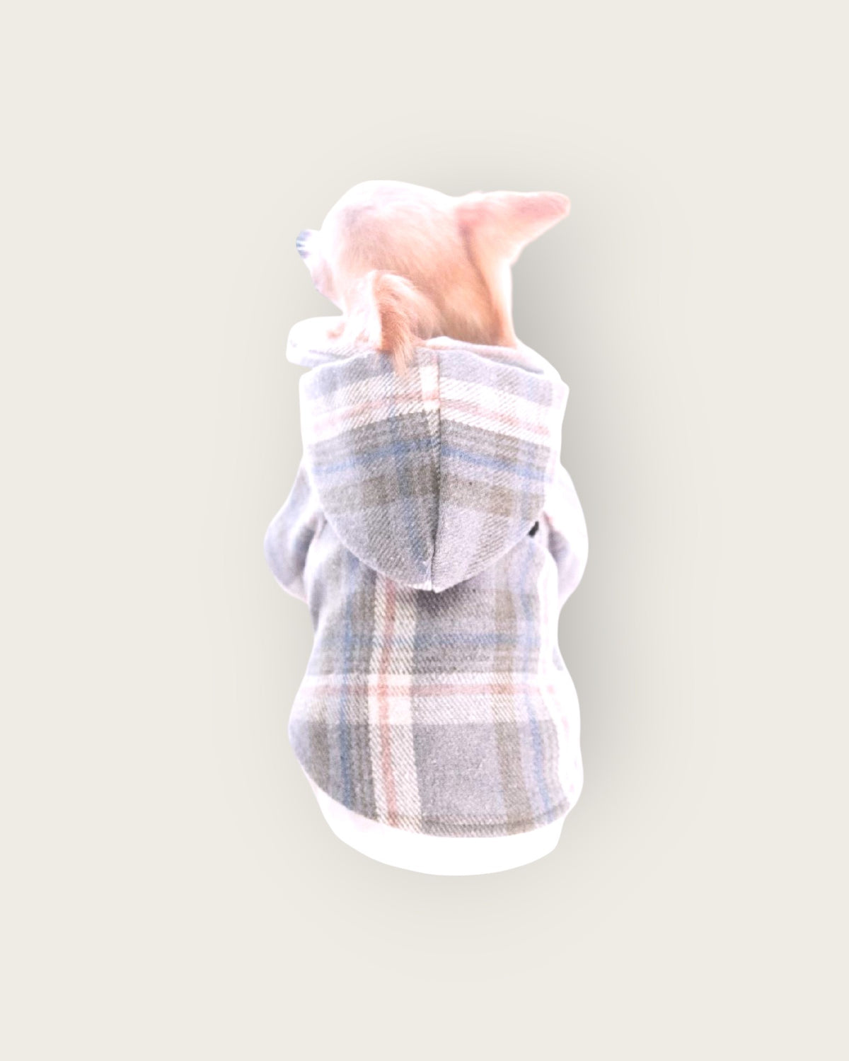 Grey Checkered Detachable Hooded Jacket - S647GY