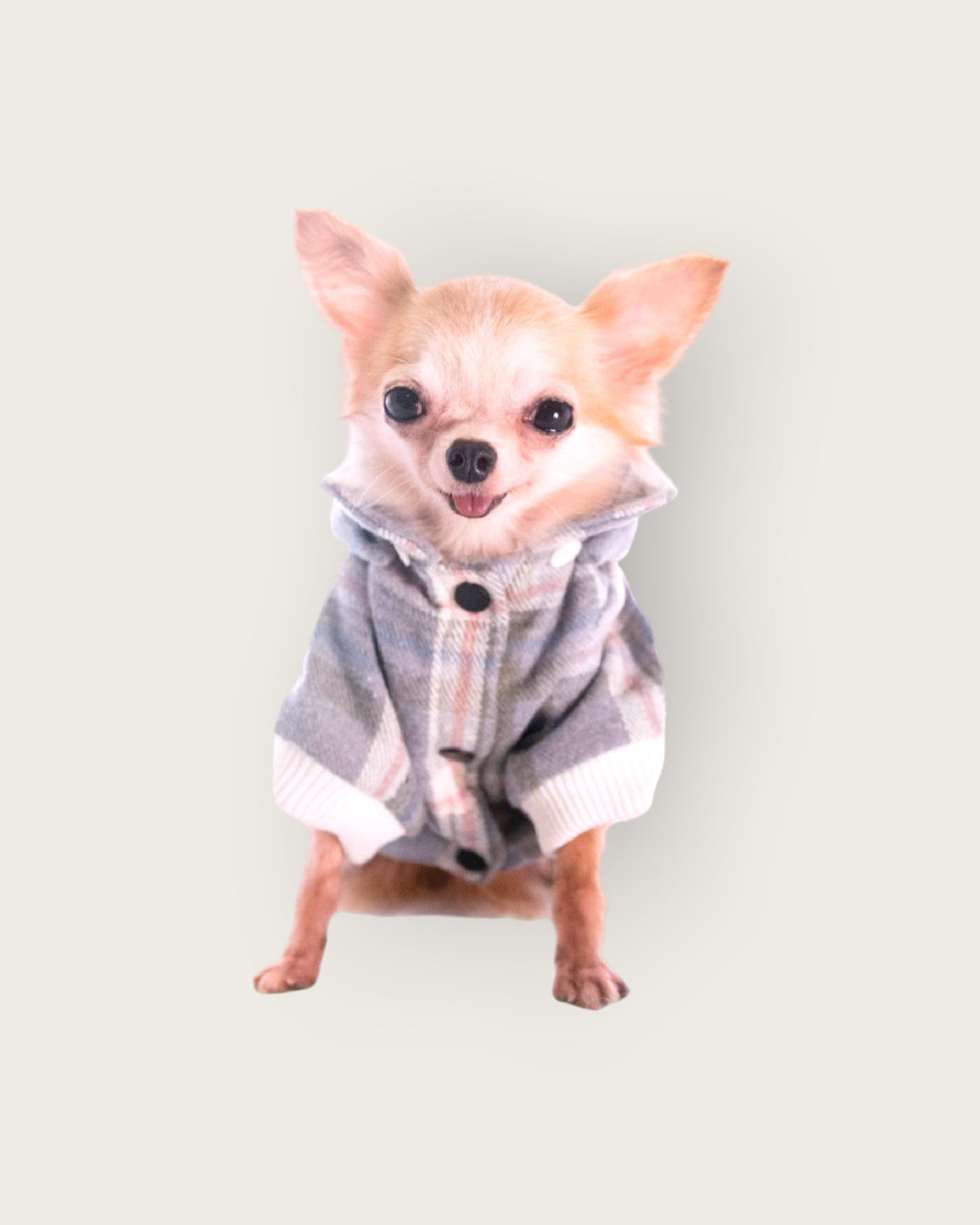 Grey Checkered Detachable Hooded Jacket - S647GY