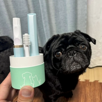 Pug