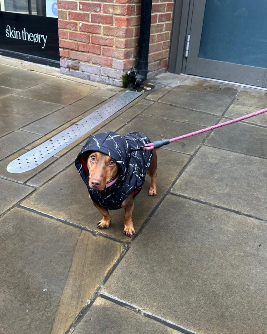 Black Padded Parka S597BK