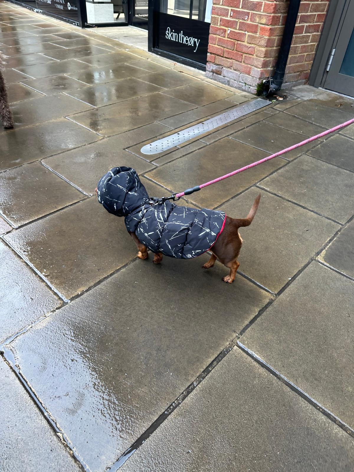 Black Padded Parka S597BK