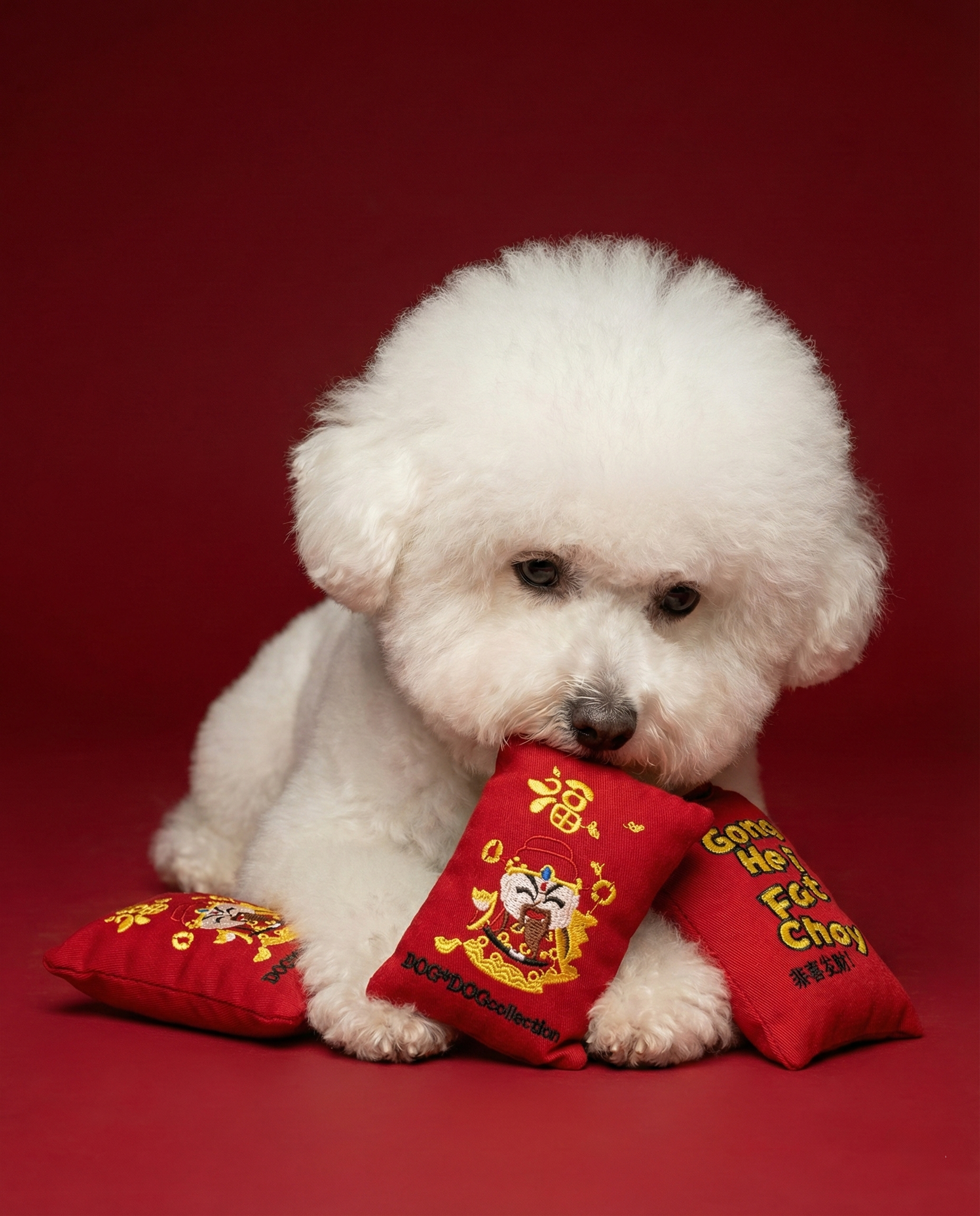 Red Packet Toy (L) Pet Toy Z001