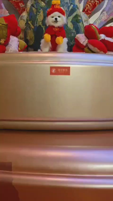 Chinese New Year Hat- Red C909R