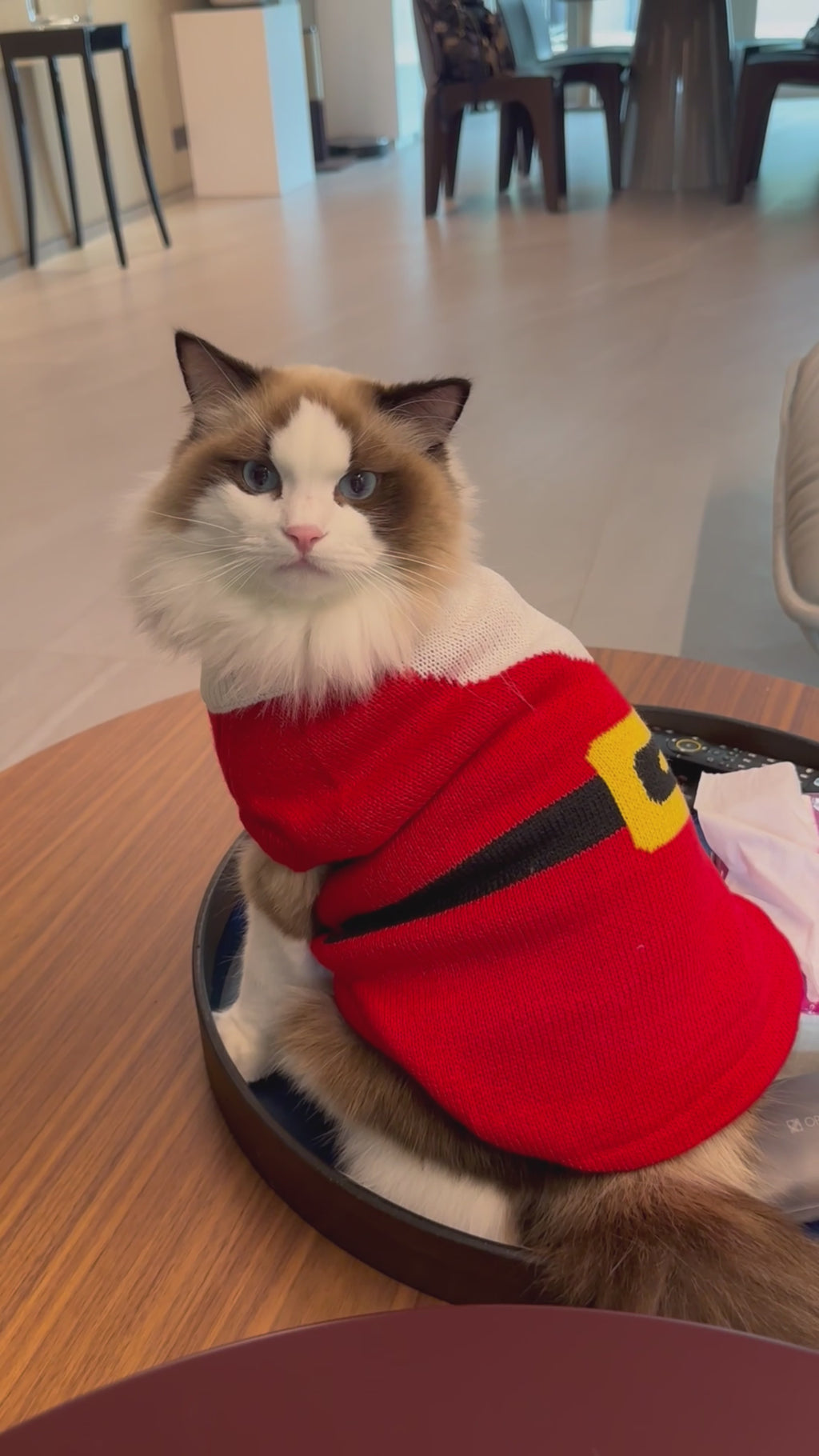 Sam Christmas Hooded Jacket S575