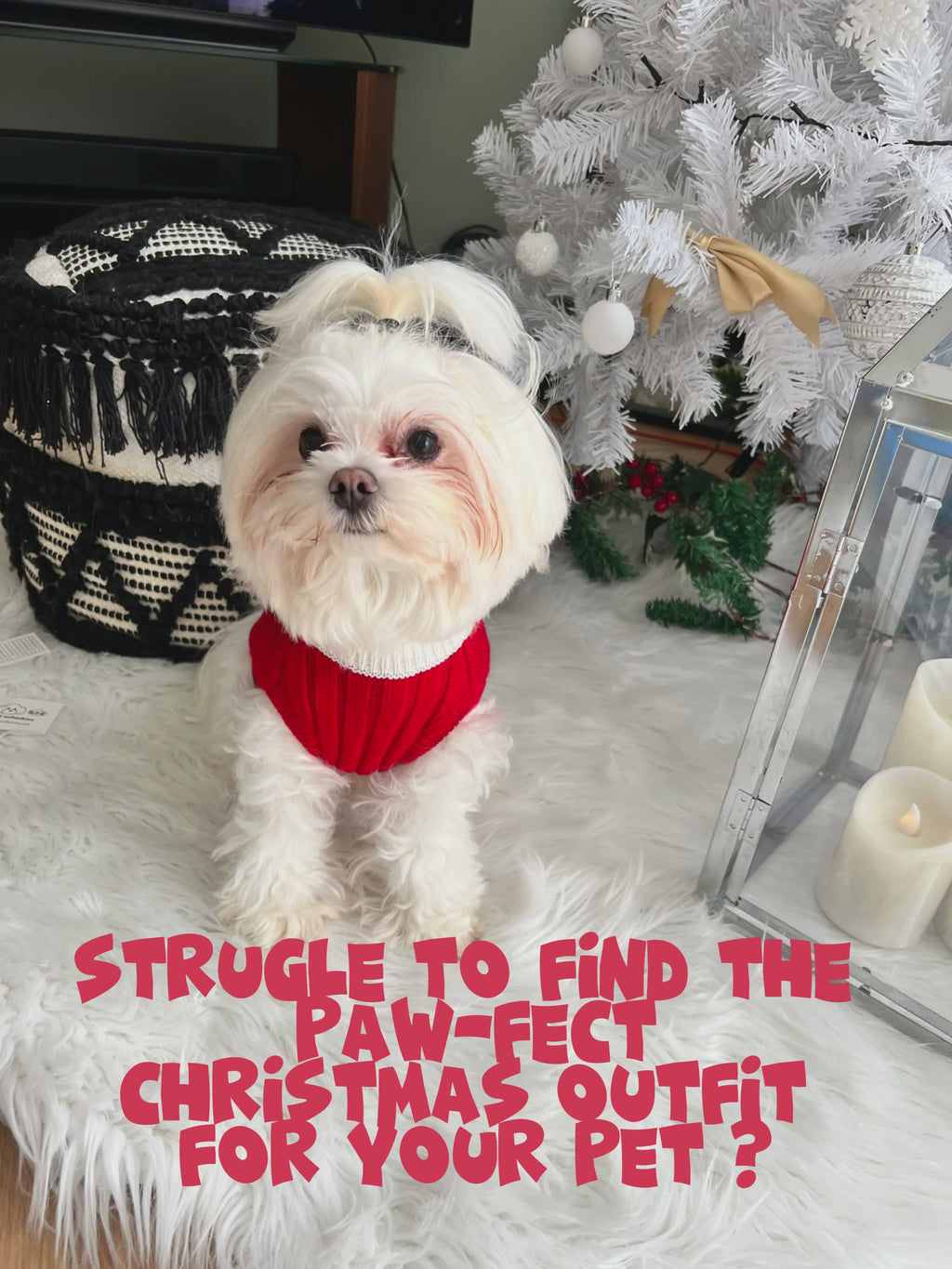 Pet Santa Claus Sweater S637R