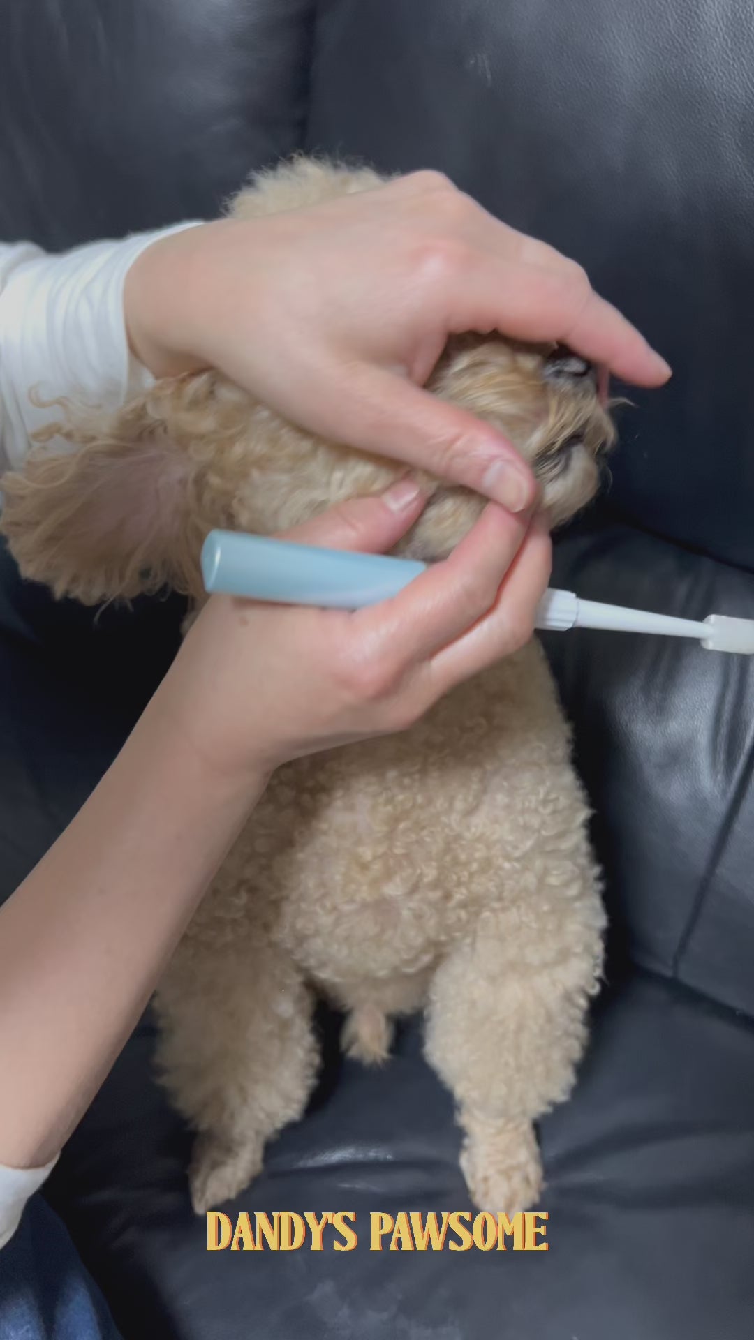 BOOOOM Sonic Vibration Toothbrush for Pets