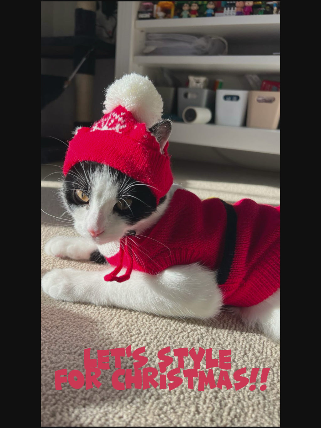 Pet Santa Claus Sweater S637R