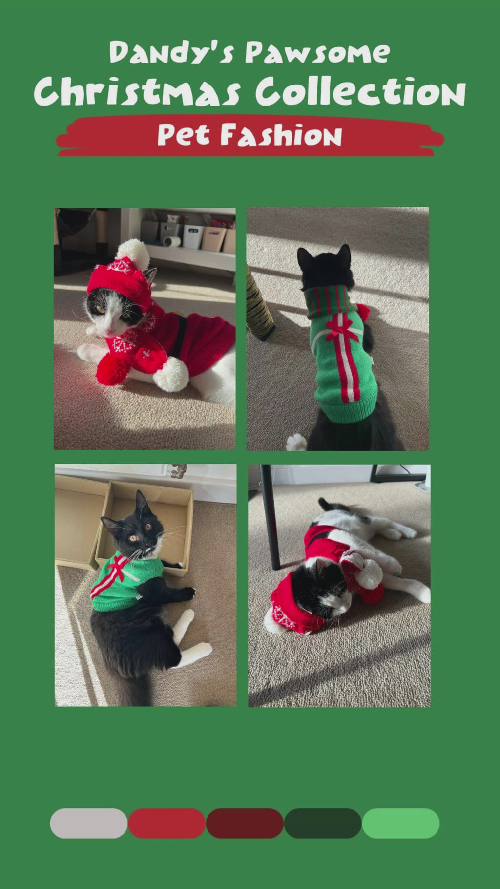 Pet Santa Claus Sweater S637R
